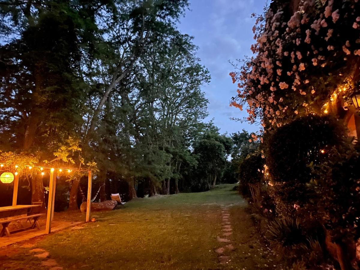 Collina Blu Bed and Breakfast Μπολσένα Εξωτερικό φωτογραφία