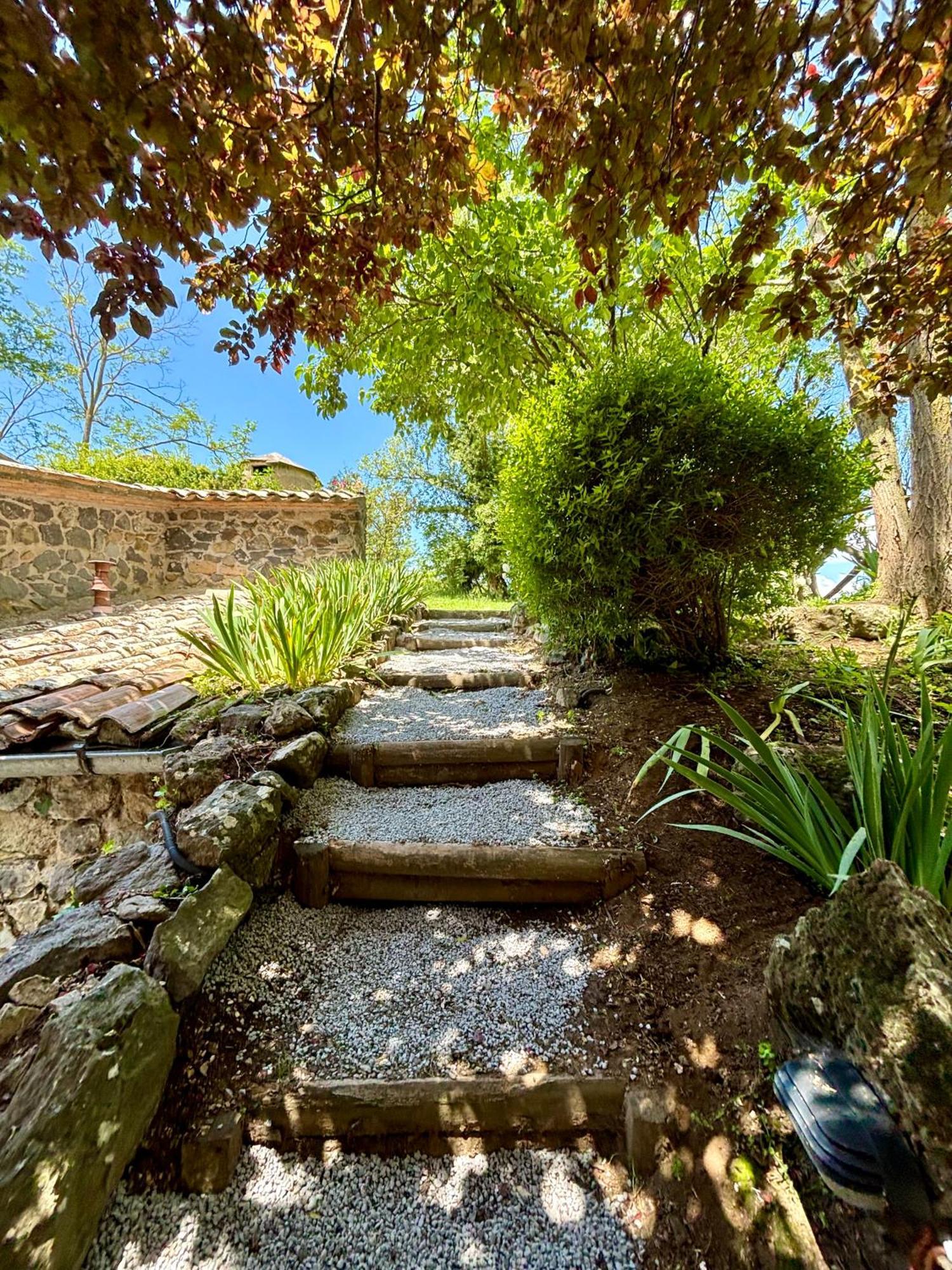 Collina Blu Bed and Breakfast Μπολσένα Εξωτερικό φωτογραφία