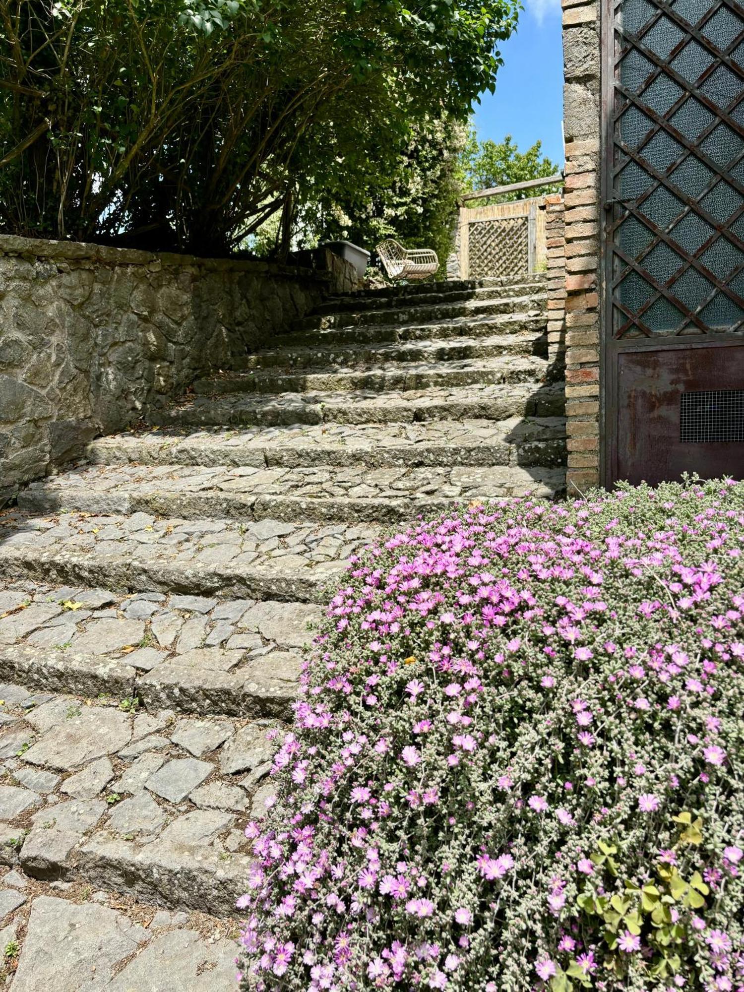 Collina Blu Bed and Breakfast Μπολσένα Εξωτερικό φωτογραφία