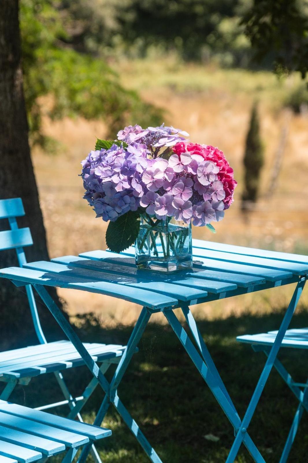Collina Blu Bed and Breakfast Μπολσένα Εξωτερικό φωτογραφία