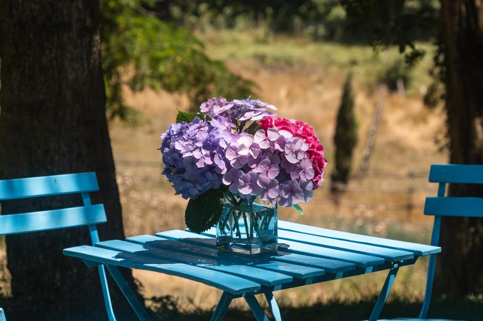 Collina Blu Bed and Breakfast Μπολσένα Εξωτερικό φωτογραφία